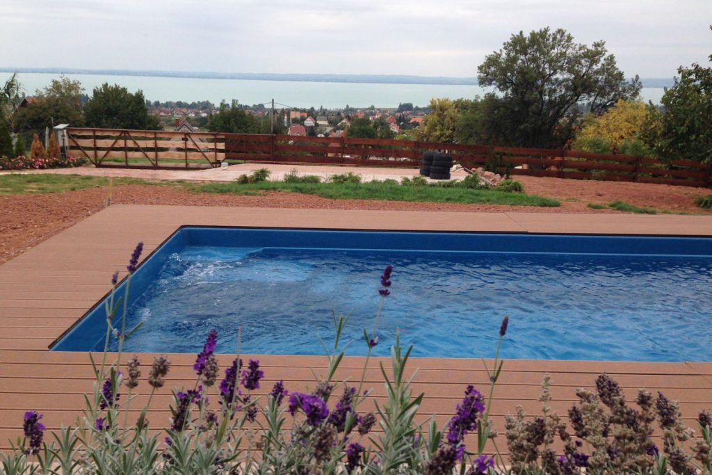 caption for image 1