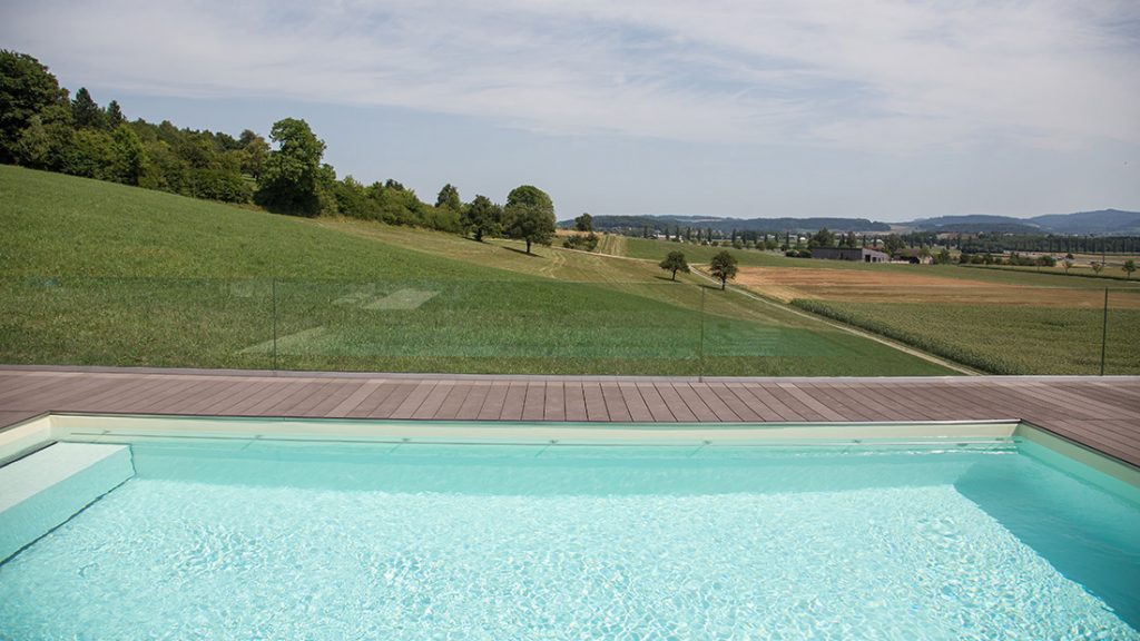 caption for image 1
